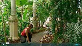 Motion i haven, Pluk æbler