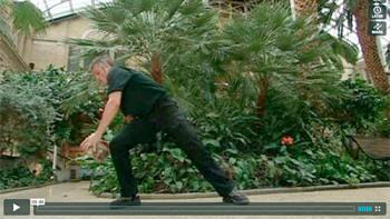 Motion i haven, Løft en sten