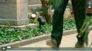 Motion i haven, Havegangen