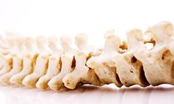 6 sunde vaner for ryggen