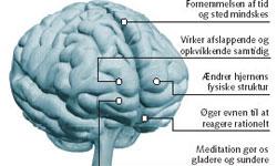 Hvordan virker meditation