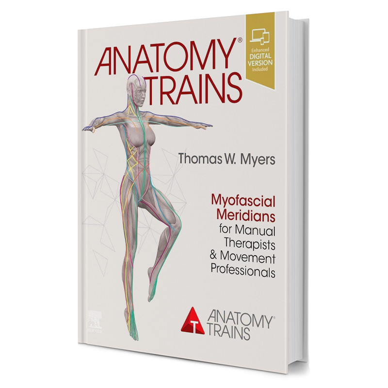 Anatomy Trains
