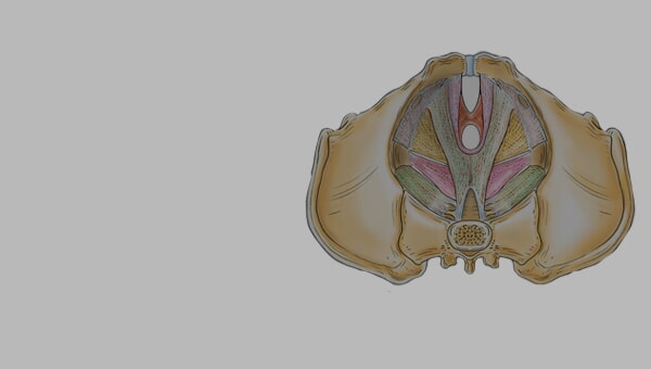 Forside - Lille - Det Funktionelle Bækken FM