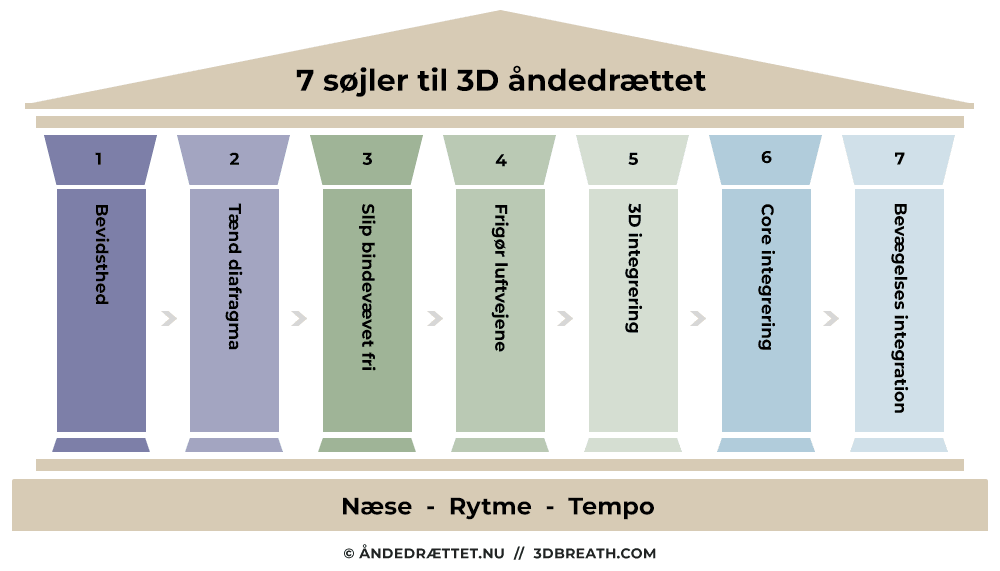 7 søjler til 3D åndedrættet 7 søjler til 3D åndedrættet